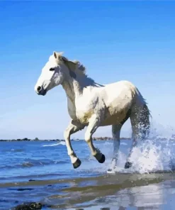 Horse Beach Diamond Painting