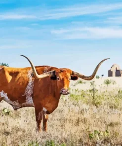 Longhorn Buffalo Diamond Painting