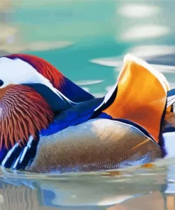 Mandarin Duck Diamond Painting