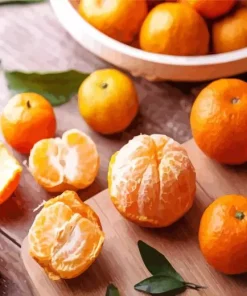 Mandarin Orange Diamond Painting