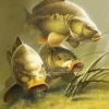 Carp Fish Underwater Diamond Painting