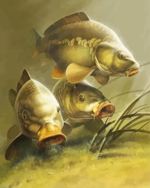 Carp fish underwater Diamond Paintings Carp Fish Underwater Diamond Painting