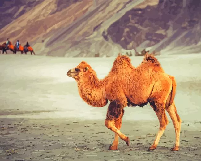 The bactrian camel painting by number The Bactrian Camel Diamond Painting