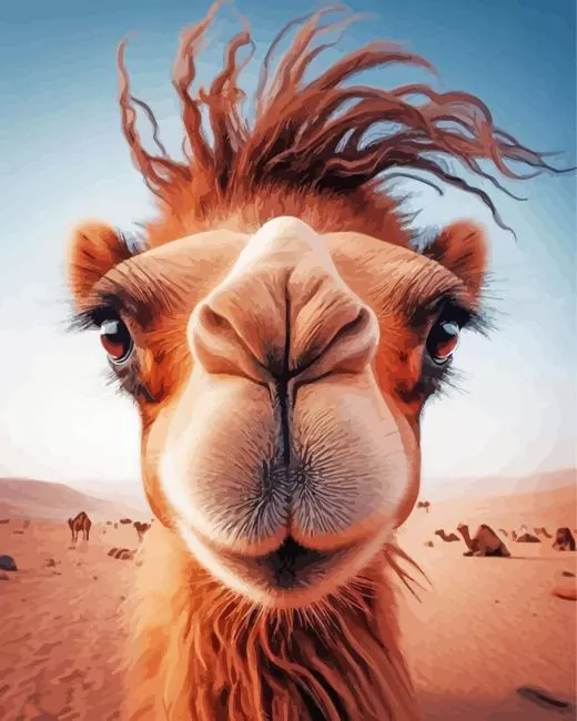 camel face painting by numbers Camel Face Diamond Painting