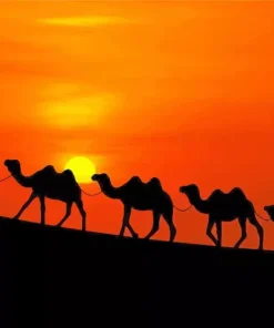Camels At Sunset Diamond Painting