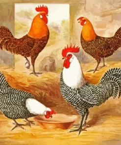 Campine Chicken Birds Diamond Painting