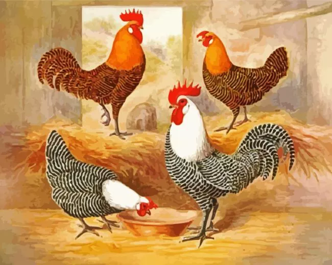 campine chicken birds Diamond Paints Campine Chicken Birds Diamond Painting