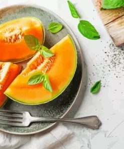 Cantaloupe Fruit Diamond Painting