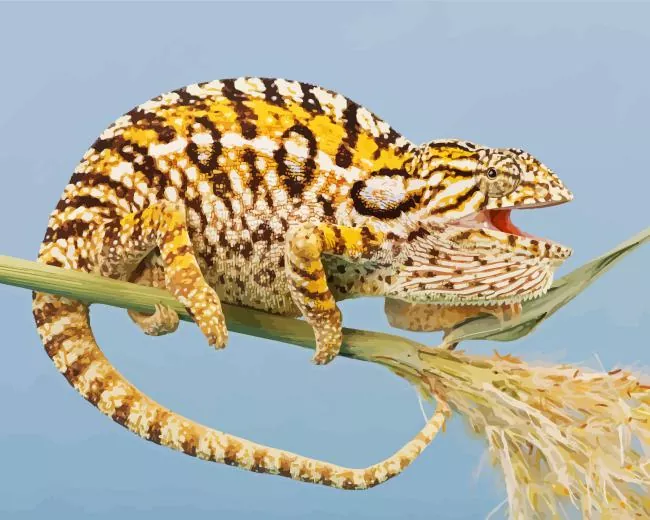 carpet chameleon Diamond Paintings Carpet Chameleon Diamond Painting
