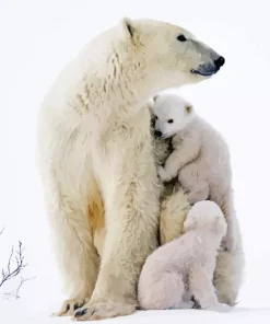 Mom And Baby Polar Bear Diamond Painting