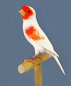 Mosaic Canary Diamond Painting