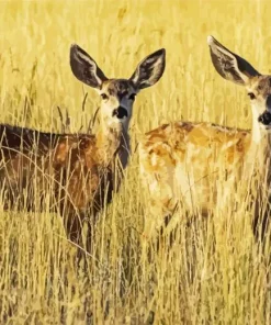 Mule Deers Diamond Painting