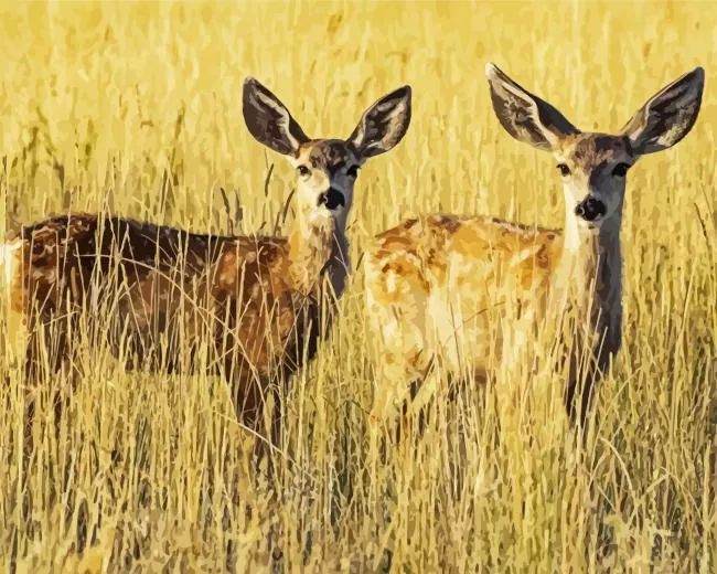 mule deers Diamond Paintings Mule Deers Diamond Painting