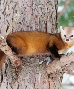 Mustelinae Animal Diamond Painting