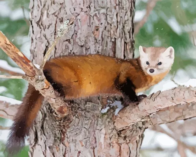 mustelinae animal Diamond by Numbers Mustelinae Animal Diamond Painting