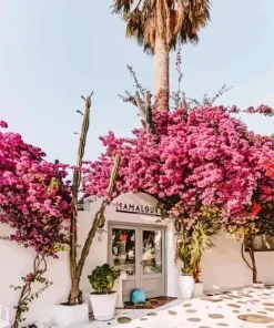 Mykonos Flowers Diamond Painting