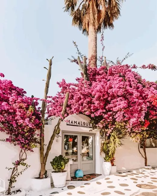 mykonos flowers Diamond by Numbers Mykonos Flowers Diamond Painting