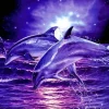 Night Dolphin Diamond Painting