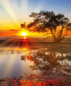 Nudgee Beach Diamond Painting