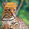 Ocelot Wild Cat Diamond Painting