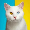 Odd Eyed White Cat Diamond Painting