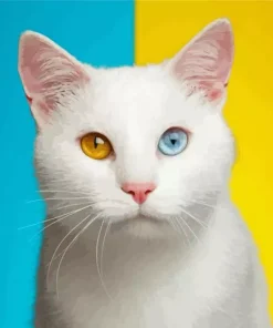 Odd Eyed White Cat Diamond Painting