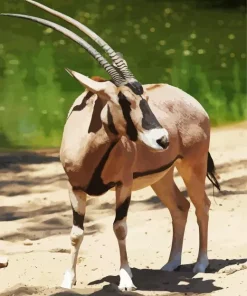 Oryx Animal Diamond Painting