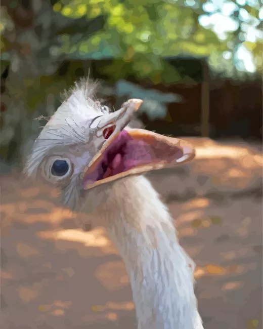 ostrich tongue Diamond Paintings Ostrich Tongue Diamond Painting