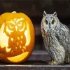 Owl Pumpkin Diamond Painting