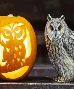 Owl Pumpkin Diamond Painting