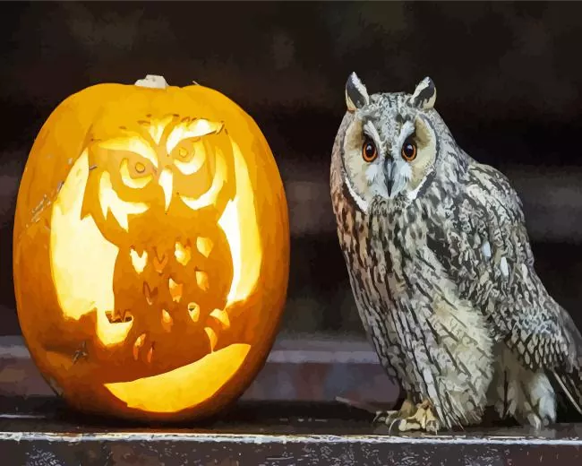 owl pumpkin Diamond By Numbers Owl Pumpkin Diamond Painting