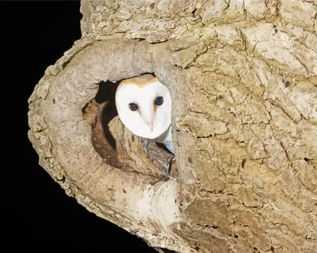 owl tree hole Diamond Paintings Owl Tree Hole Diamond Painting