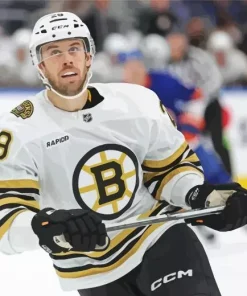 Parker Wotherspoon Boston Bruins Diamond Painting