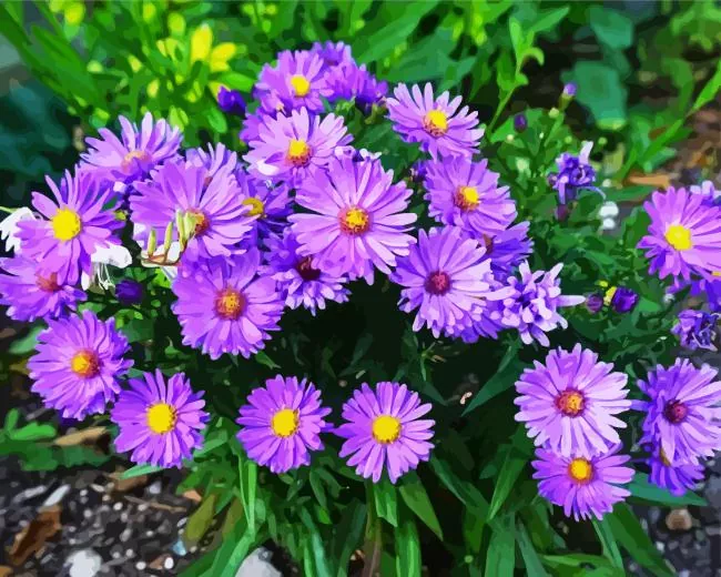 purple aster flowers Diamond Paintings Purple Aster Flowers Diamond Painting