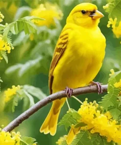 Yellow Canary Bird On Stick Diamond Painting