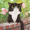 Black And White Cat With Big Eyes Diamond Painting