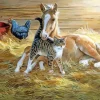 Blonde Horse And Cat Diamond Painting