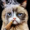 Cat Smoking Cigarette Art Diamond Painting