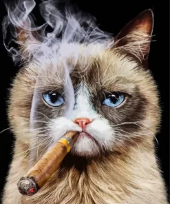 Cat Smoking Cigarette Art Diamond Painting
