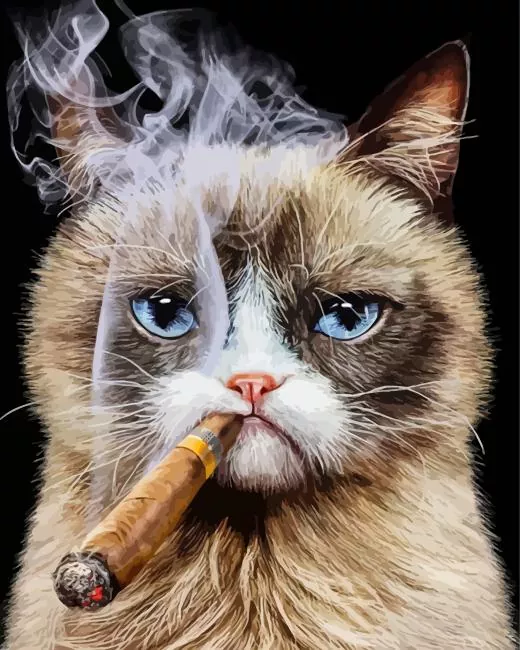 Cat Smoking Cigarette Diamond Dotz Cat Smoking Cigarette Art Diamond Painting