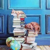 Cats Sleeping On Books Diamond Painting