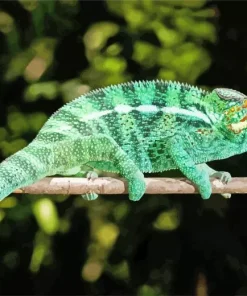 Green Panther Chameleon Diamond Painting