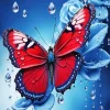 Aesthetic Scarlet Butterfly Art Diamond Painting