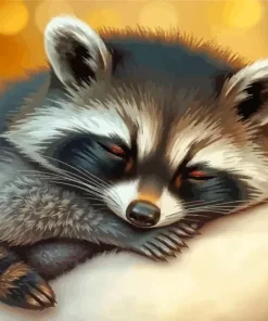 Aesthetic Sleeping Raccoon Diamond Painting