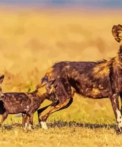 African Wild Dog Diamond Painting