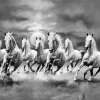 Black And White Seven White Horse Diamond Painting