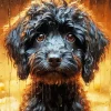 Black Cavoodle Diamond Painting