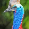 Cassowary Bird Diamond Painting