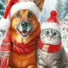 Cat And Dog In Snow Diamond Painting