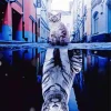 Cat And Tiger Reflection Diamond Painting